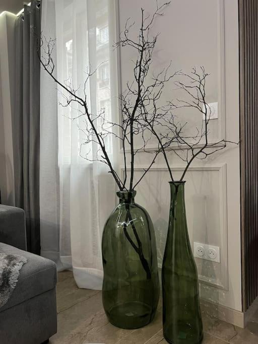 Luxueux Appartement Pres De La Cathedrale 斯特拉斯堡 外观 照片